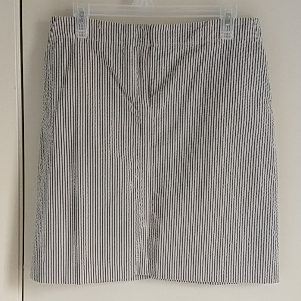 J. Crew skirt